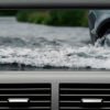 Video-in-motion-7